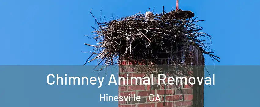  Chimney Animal Removal Hinesville - GA