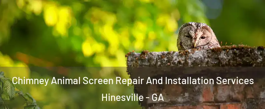  Chimney Animal Screen Repair And Installation Services Hinesville - GA