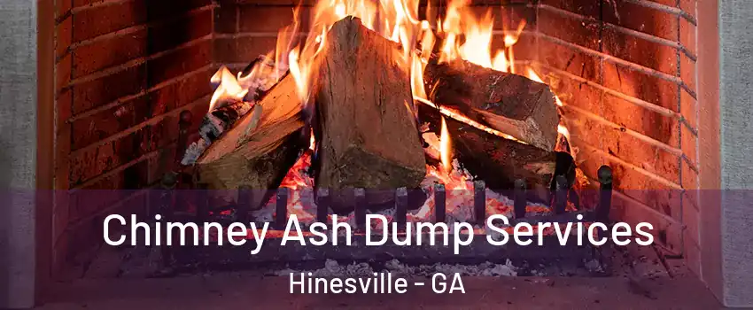  Chimney Ash Dump Services Hinesville - GA