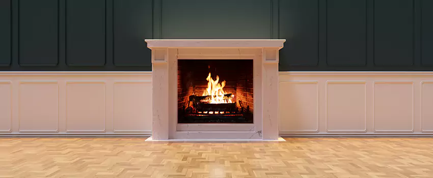 Napoleon Electric Fireplaces Inspection Service in Hinesville, Georgia