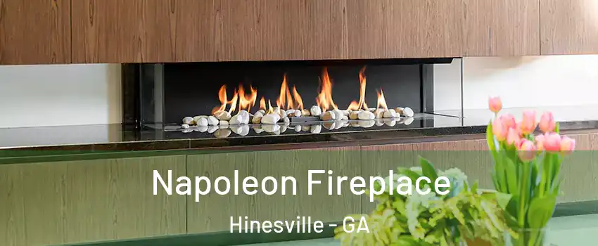  Napoleon Fireplace Hinesville - GA